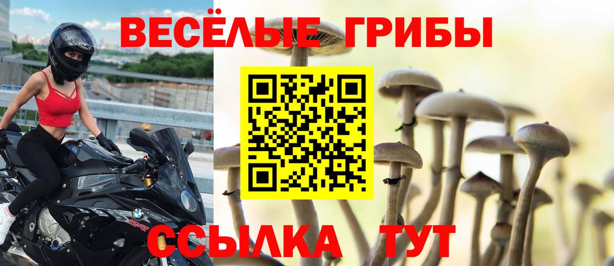 как найти наркотики  Галлюциногенные грибы Magic Shrooms  Вход с VPN  Ленинск-Кузнецкий 