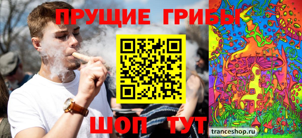 Псилоцибиновые грибы Psilocybe Ленинск-Кузнецкий
